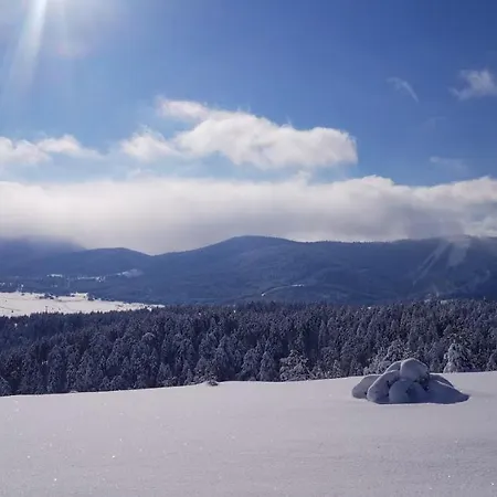 Hostal Planinarski Dom 