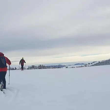 Hostal Planinarski Dom 